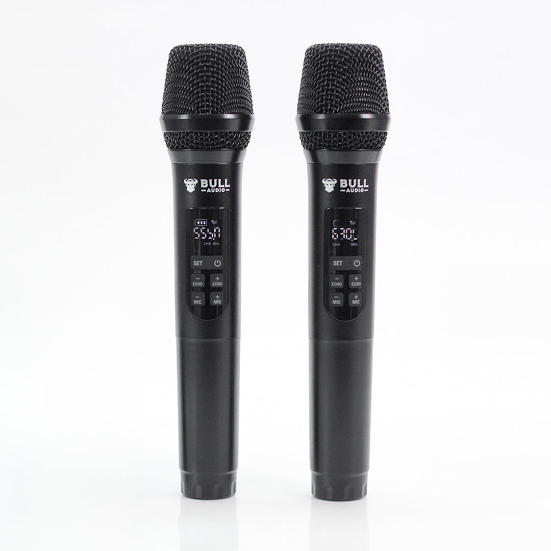 BA-20 Wireless Microphone
