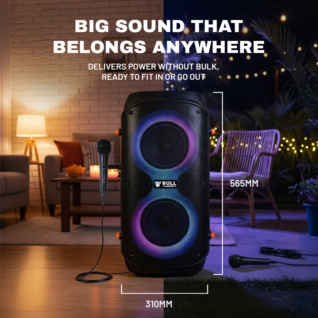 Bull Audio Alpha with 2 Wired Microphones