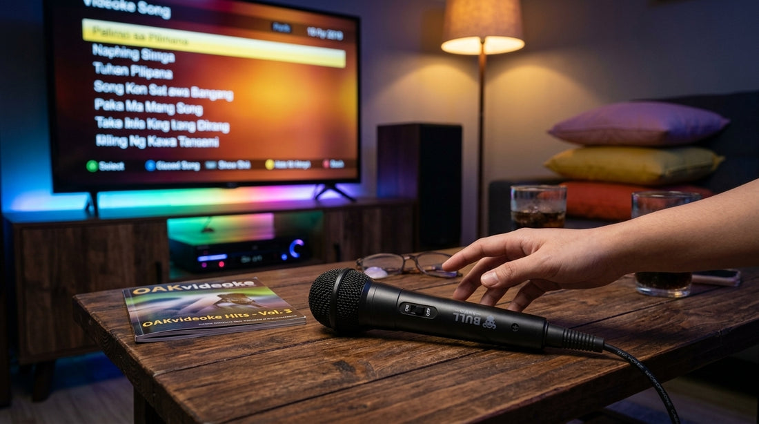 Bull Audio Karaoke Microphone Setup