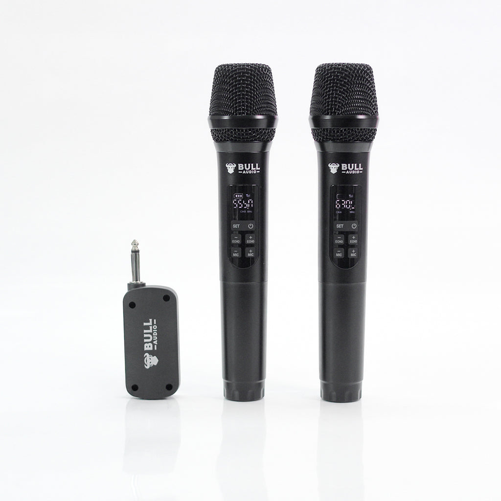 BA-20 Wireless Microphone
