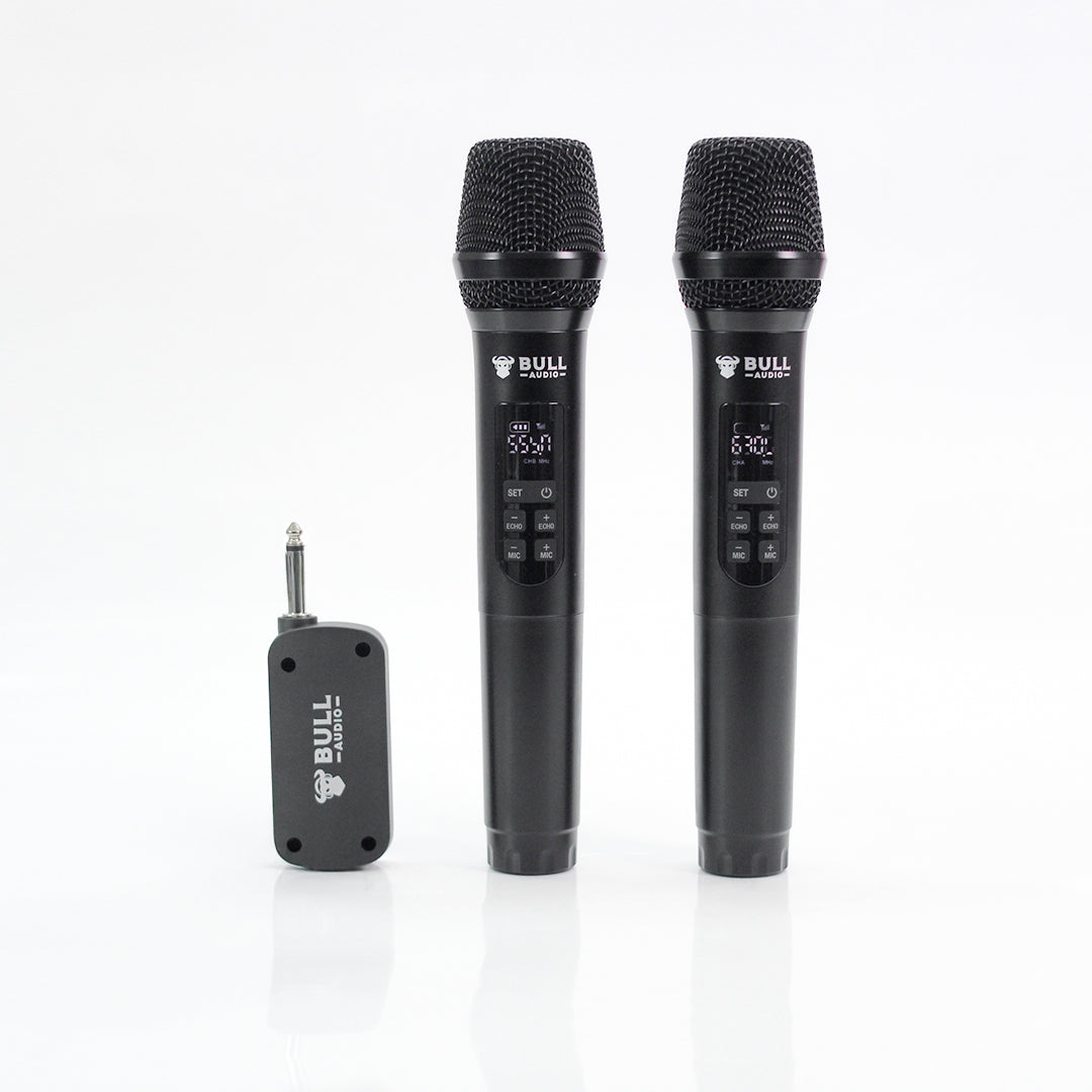 BA-20 Wireless Microphone