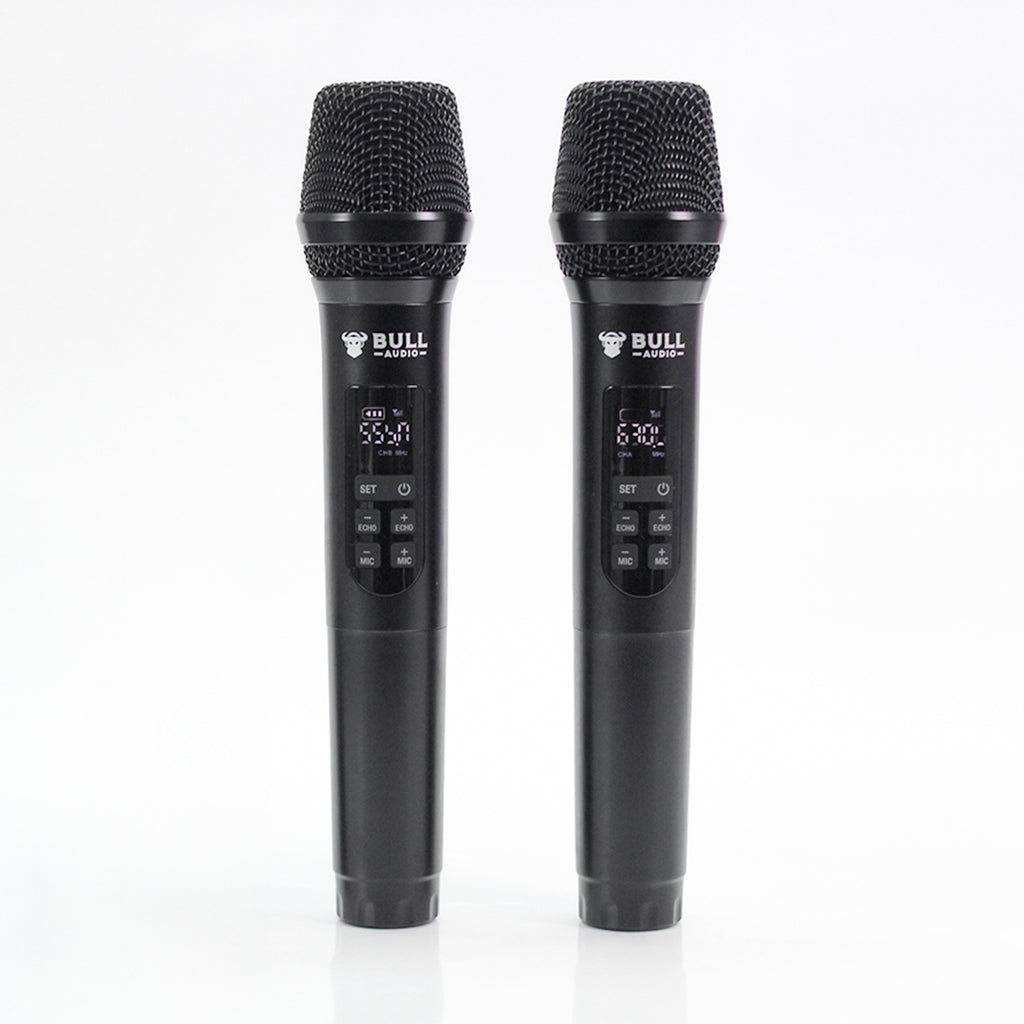 BA-20 Wireless Microphone