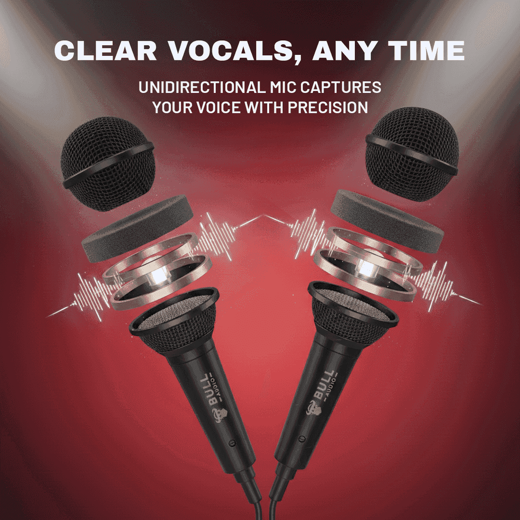 Duo BA-10 Wired Microphone Set